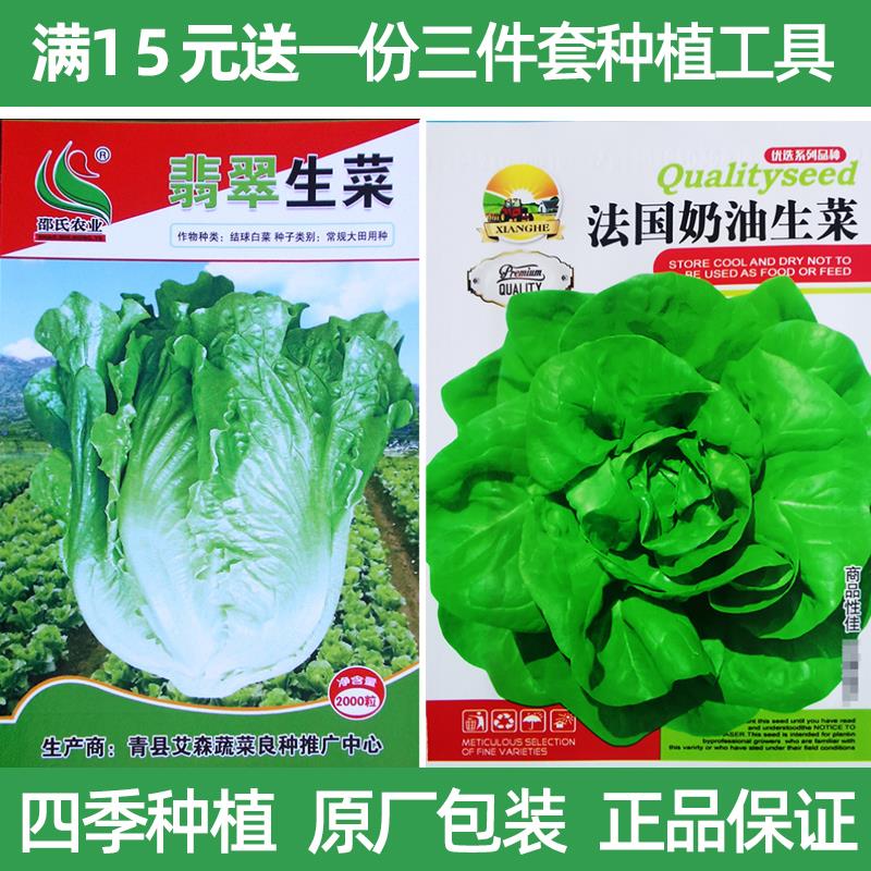 四季蔬菜种子阳台庭院易种植生菜黄瓜韭菜草莓香菜葱蒜小白菜种籽 - 图2