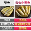 Headless small yellow croaker, sea fish, yellow croaker, fresh seafood, frozen water, fresh fish, fried crispy small yellow croaker