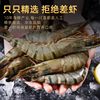 Black tiger shrimp, fresh large tiger shrimp, fresh sea shrimp, bamboo shrimp, large shrimp, seafood and aquatic products, whole box wholesale