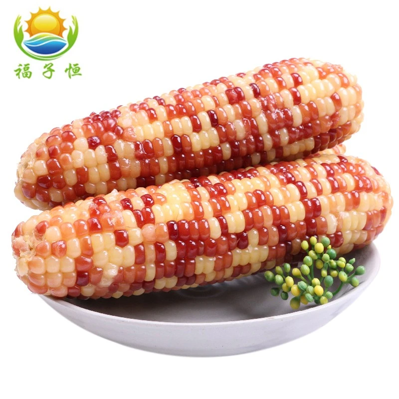 彩糯玉米礼盒新鲜玉米加热即食谷物代餐节日送礼