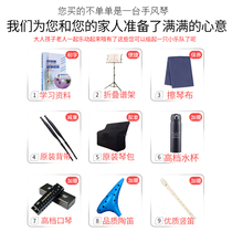 Murphys 8 60 96120 bass high-end accordion keyboard violin examination to play the child violin adult begs