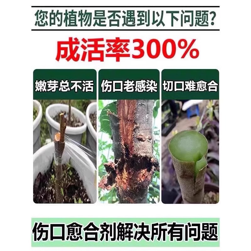 植物嫁接伤口愈合剂促活液果树木花卉盆景切口专用嫁接神器愈合剂 - 图1
