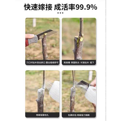 德国锋钢果树嫁接专用刀膜高速钢接树苗工具芽接神器园艺园艺套装-图2