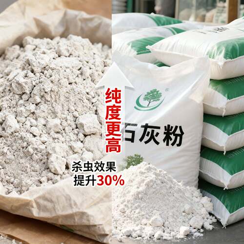 【蔬菜专用】生石灰粉土壤菜地除虫改善土壤高纯度生石灰防虫 - 图1