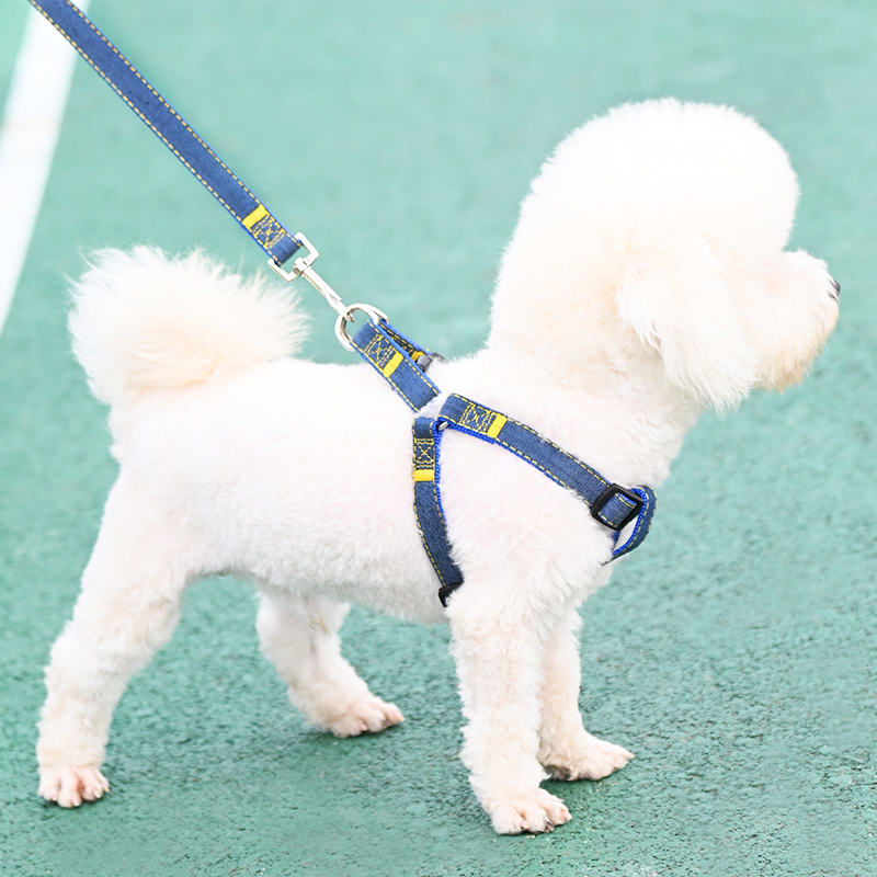 狗狗牵引绳大型中型小型犬狗链子狗项圈泰迪金毛遛狗绳子宠物用品 - 图1