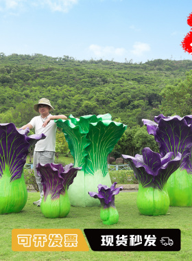 仿真蔬菜摆件上海青包菜模型装饰