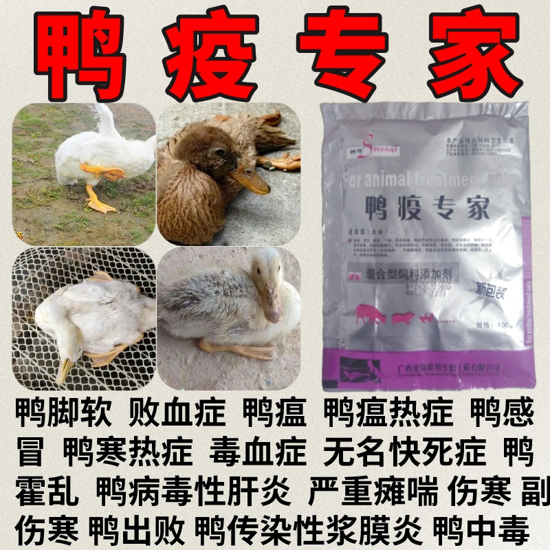 鸭子病毒性肝炎疫康生病吃的感冒养鸡专家特禽用效瘟疫清品感冒-图0