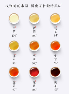 泡臣【入门标配】专业泡茶机