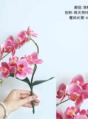 家居装饰婚庆手捧花蝴蝶兰摆件