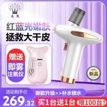 Oxytometer Beauty Instruments Home Facial Water Replenishing Essence Import Instrument Beauty Salon Special Handheld Nano Spray Gun