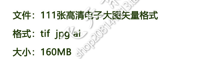 中国古风中式传统吉祥民族图腾图案纹样印花矢量包装设计电子素材 - 图0