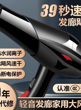发廊专用吹风机家用大风力负离子护发理髲店大功率速干冷热风筒