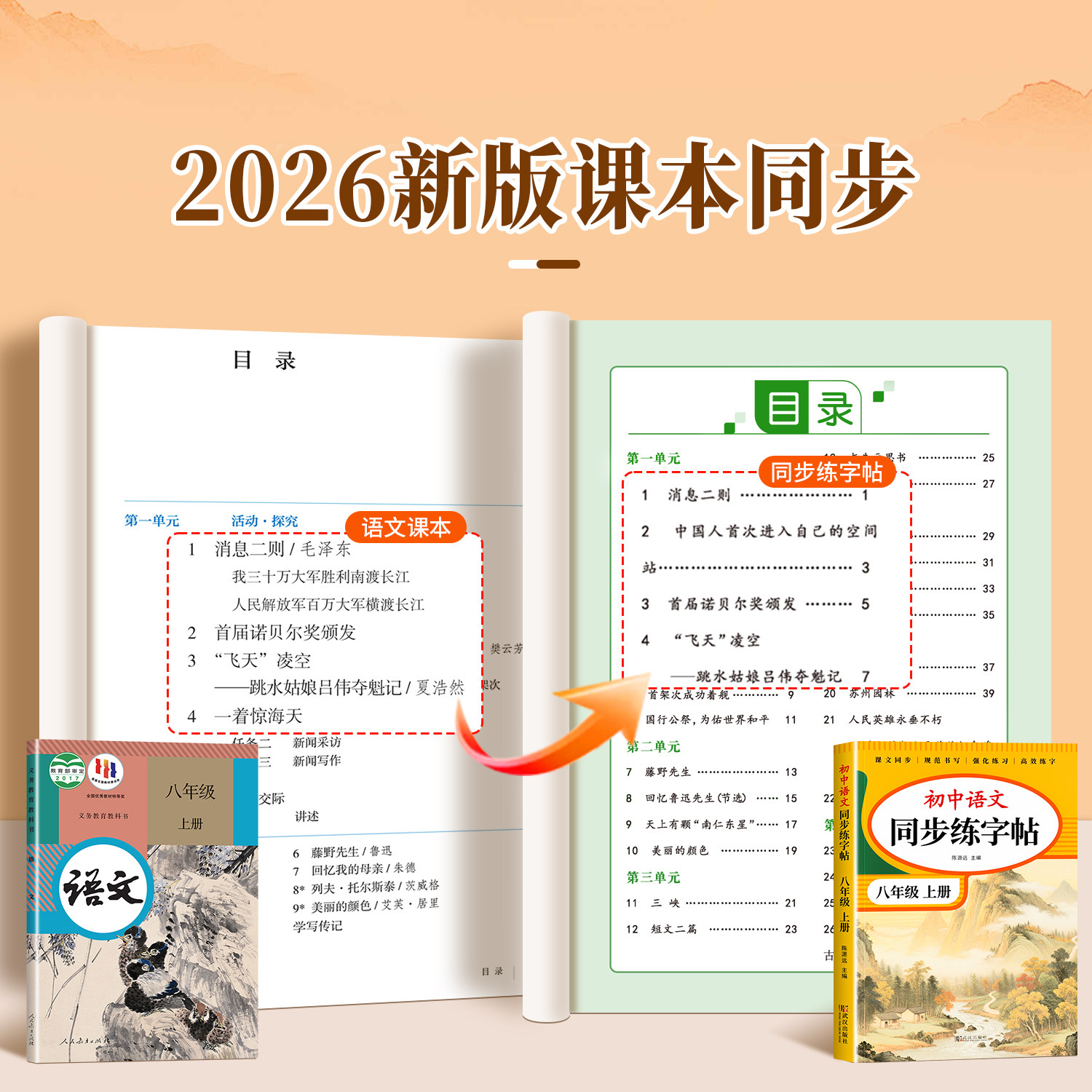 八年级上册语文字帖人教版 写字课课练8年级下课本同步练字帖RJ每日一练临摹初二硬笔书法练字本初中生专用控笔训练字帖中学生字帖