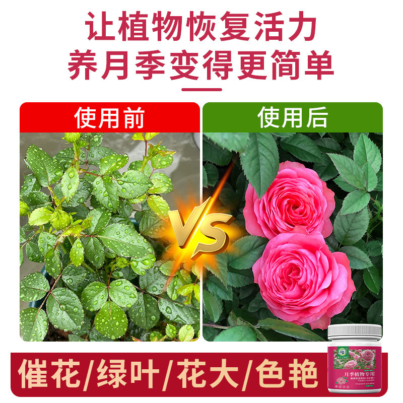 月季花肥料专用肥家用盆栽通用复合肥有机肥营养液磷酸二氢钾养花,淘宝优惠券,粉丝福利购,淘宝优惠卷