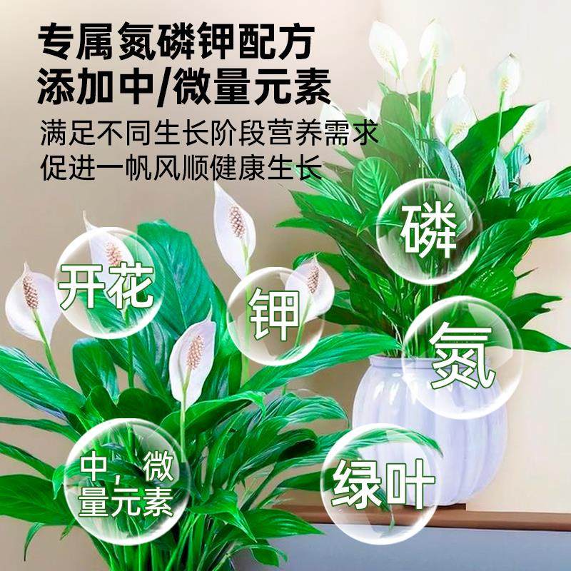 一帆风顺营养液花肥盆栽水培白掌营养液专用肥料白鹤芋火鹤花肥,淘宝优惠券,粉丝福利购,淘宝优惠卷