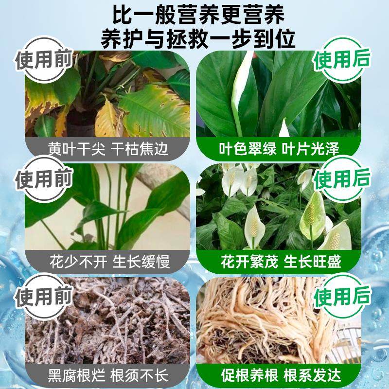 一帆风顺营养液花肥盆栽水培白掌营养液专用肥料白鹤芋火鹤花肥,淘宝优惠券,粉丝福利购,淘宝优惠卷