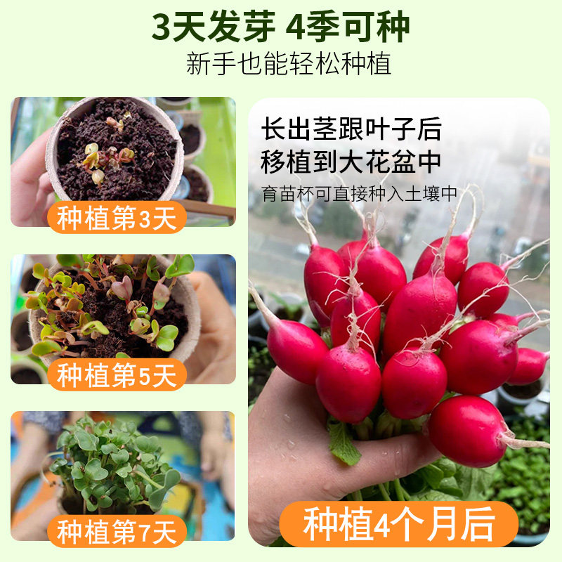 阳光房种植儿童小学生科学实验套装植物观察种菜女孩玩具生日礼物,淘宝优惠券,粉丝福利购,淘宝优惠卷