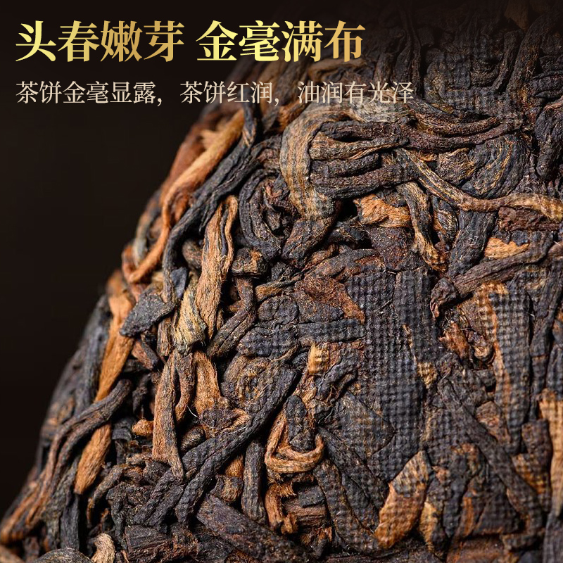 2015年正宗云南班章普洱茶熟茶饼头春采老古树大叶种茶叶七子饼茶