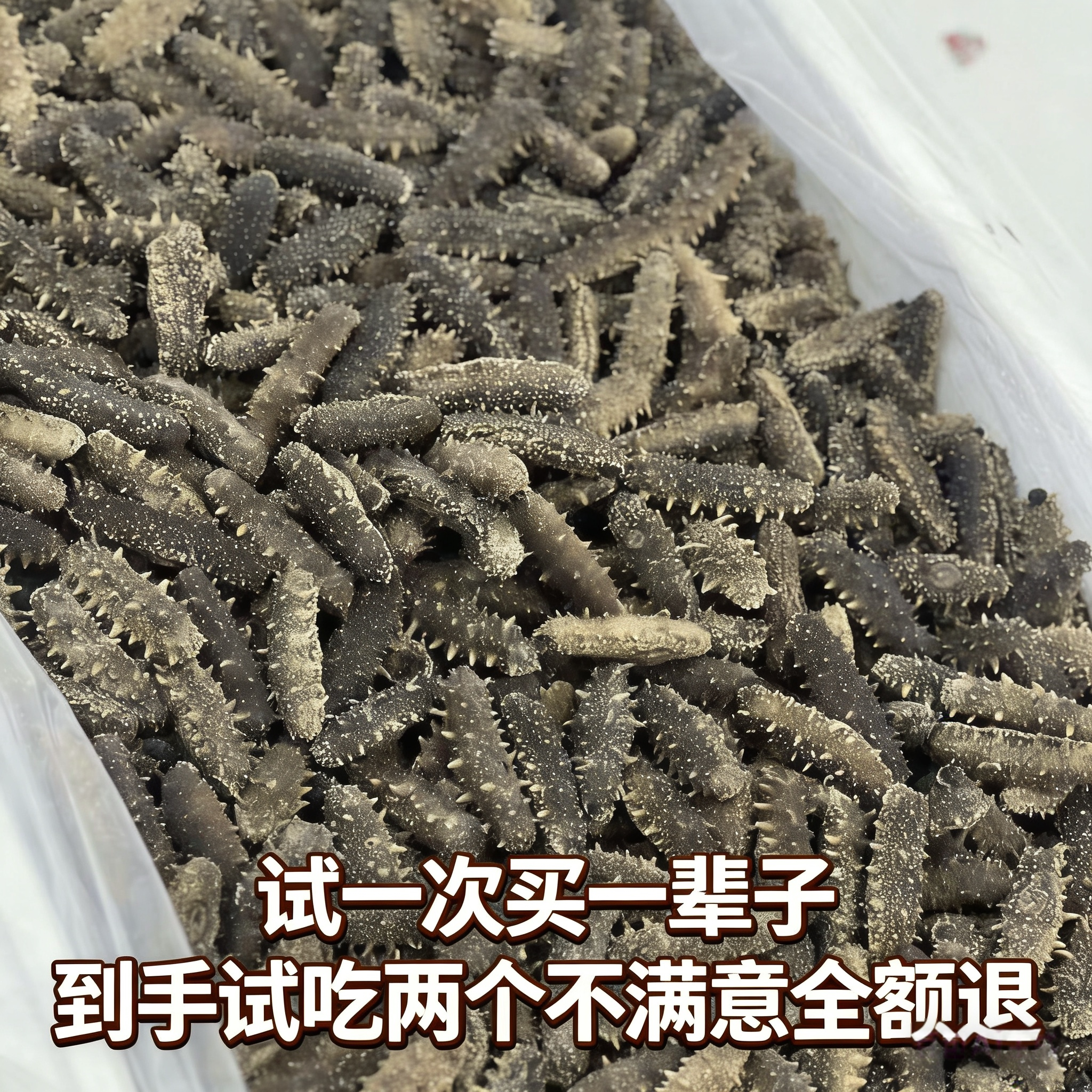 大连淡干海参辽参刺参干货特价批发小规格清仓价