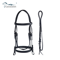 Caavassion English-style water Le reins pvc water Le reins with water Le reins 8208008