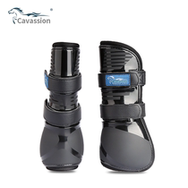 Caavassion barrier Horse guard leg Horse with leg guard Inform horse leg guard front leg 8216034