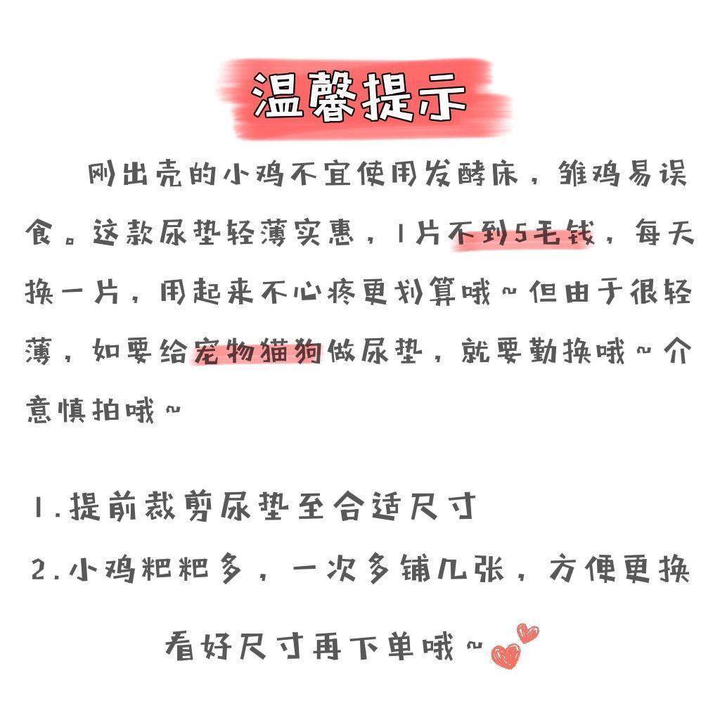 芦丁鸡1-10日龄幼鸡保温箱育雏隔尿垫强力吸水易打理大尺寸尿垫,淘宝优惠券,粉丝福利购,淘宝优惠卷