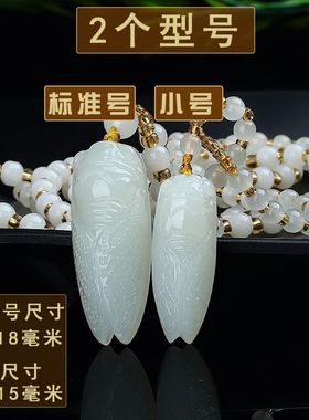 助学聪明进步白玉蝉知了