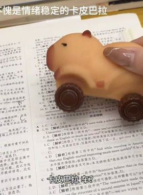 现货抖音卡皮巴拉拉拉车玩具创意解压拉伸新奇特慢回弹玩具车批发