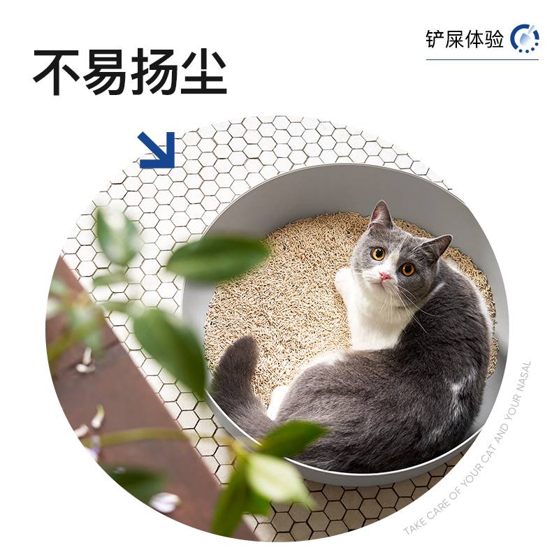 【爆款猫砂】LORDE里兜豆腐膨润土混合猫沙10kg除臭易结团低粉尘 - 图1