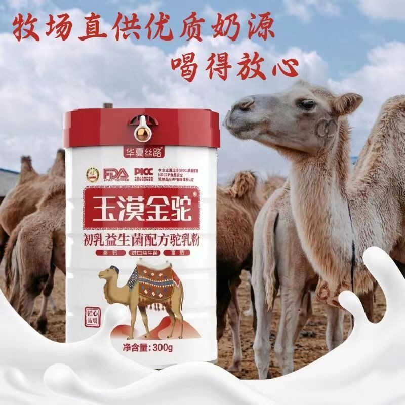 【华夏丝路玉漠金驼】初乳益生菌驼乳粉中老年高钙富硒无蔗糖300g - 图0