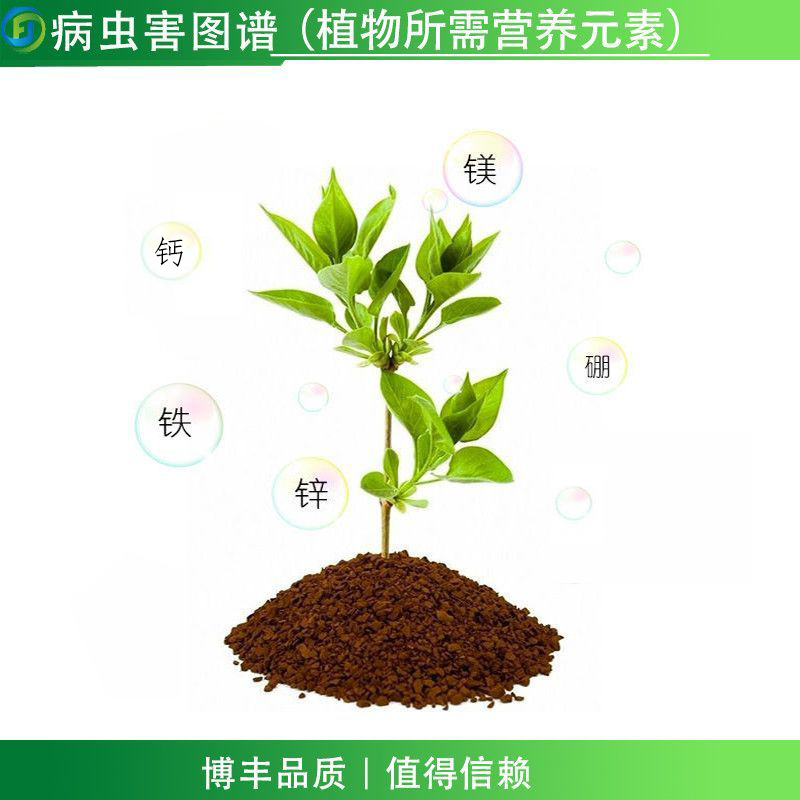 硼锌钙镁铁微量元素含氨基酸水溶肥料果树蔬菜花卉壮苗增产叶面肥,淘宝优惠券,粉丝福利购,淘宝优惠卷