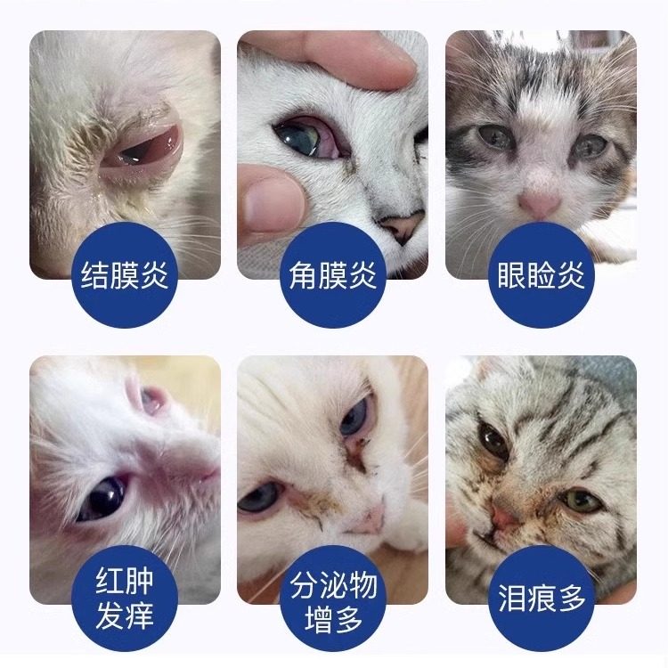 日本千寿sentrx闪粹凝胶宠物狗猫腐骨角膜疡溃消炎美国滴眼液流泪,淘宝优惠券,粉丝福利购,淘宝优惠卷