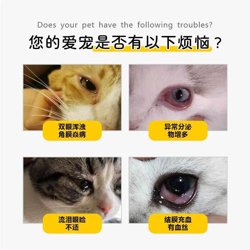 日本日东妥布宠物滴眼液0.3%角膜炎用滴眼液猫咪狗狗结膜炎水肿,淘宝优惠券,粉丝福利购,淘宝优惠卷