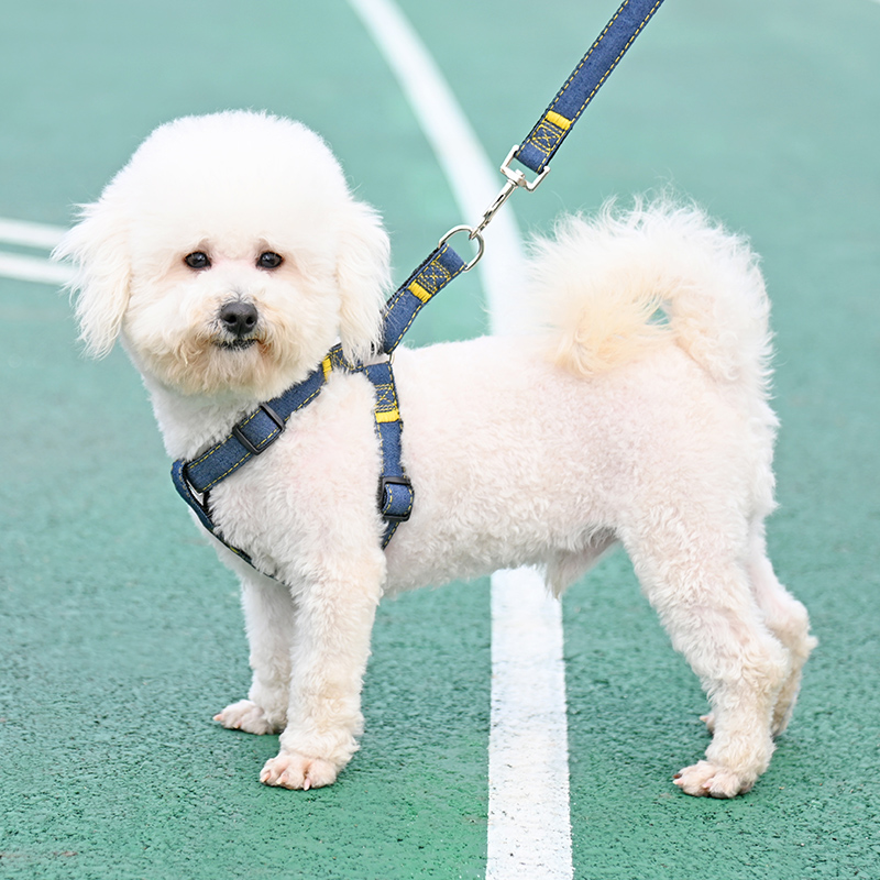 狗狗牵引绳大型中型小型犬狗链子狗项圈泰迪金毛遛狗绳子宠物用品 - 图0