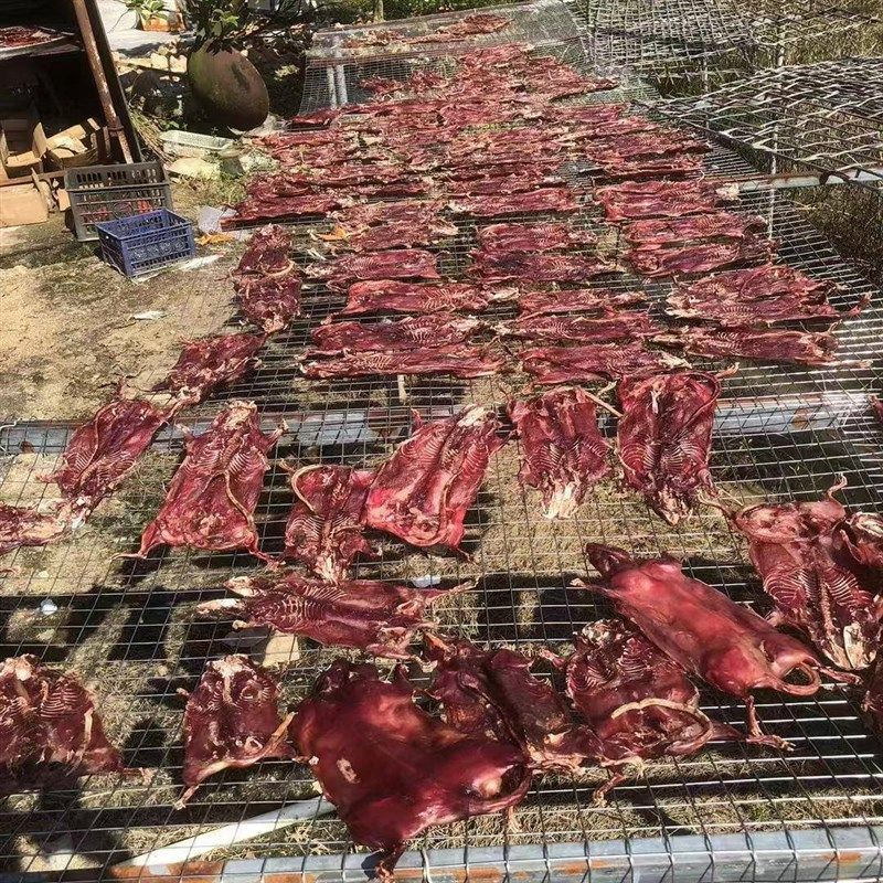 福建特产老鼠干广西宁化特产老A鼠干农家自制老鼠干货腊鼠干风干,淘宝优惠券,粉丝福利购,淘宝优惠卷