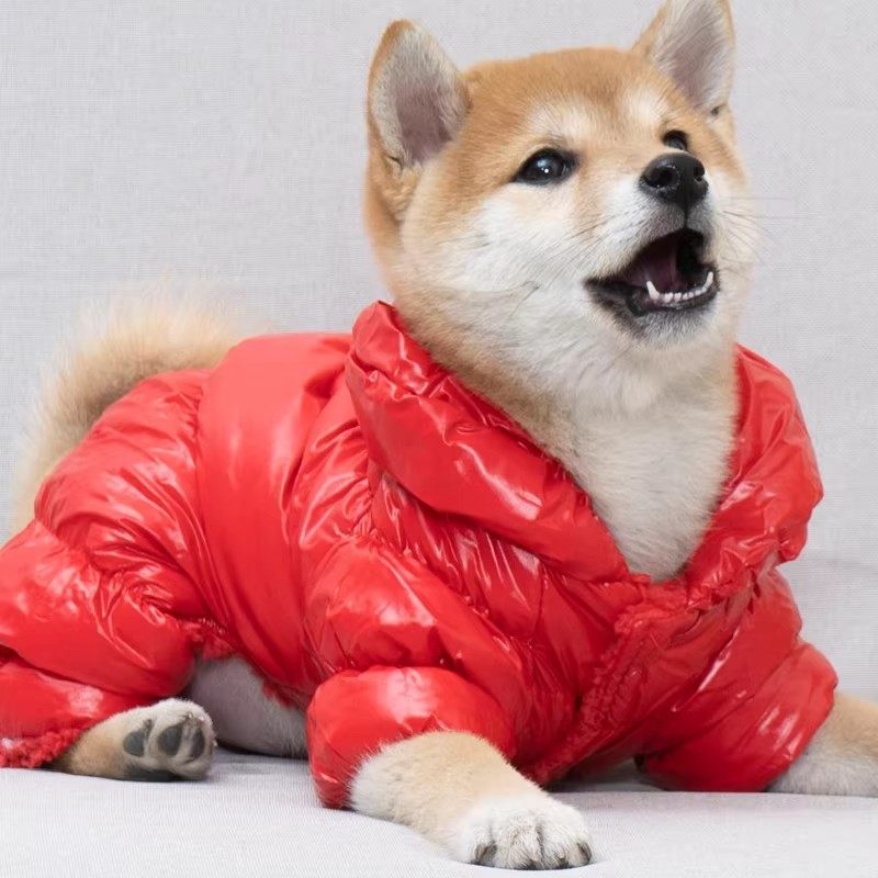狗狗衣服冬季保暖四脚衣红色羽绒服防水户外休闲棉衣比熊宠物服装,淘宝优惠券,粉丝福利购,淘宝优惠卷