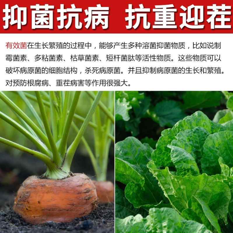 枯草芽孢杆菌厂家微生物菌剂哈茨木霉菌肥植物通用水溶复合肥农用 - 图2