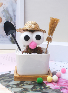 仙人球掌草帽可爱小扫把盆栽铲