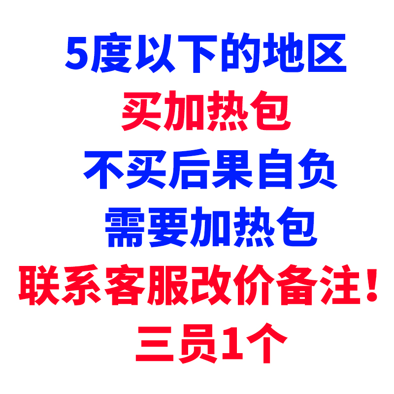 大麦虫活虫鲜活面包虫黄粉虫仓鼠蜥蜴守宫饲料粮食活体高蛋白虫子 - 图0