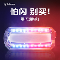 Dog Night Light Dog Signs Night Walk Dog Led Lights Nights Anti-Walk Loss Collar Glow Pendant Social Projection Lamp