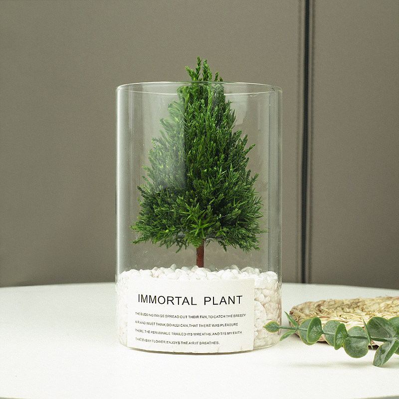 桌面小型圣诞树办公室放青松真植物摆件工位情绪稳定神器节日礼物