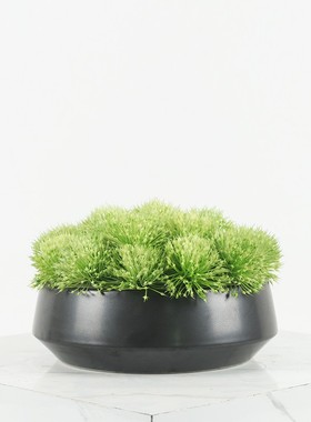 中式绿植摆件售楼处样板间客厅