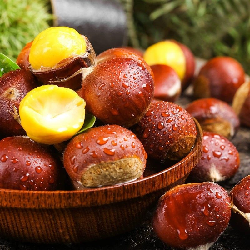 云南特产当季现摘新鲜水果生板栗油锥迁西野小毛栗子带壳包邮,淘宝优惠券,粉丝福利购,淘宝优惠卷