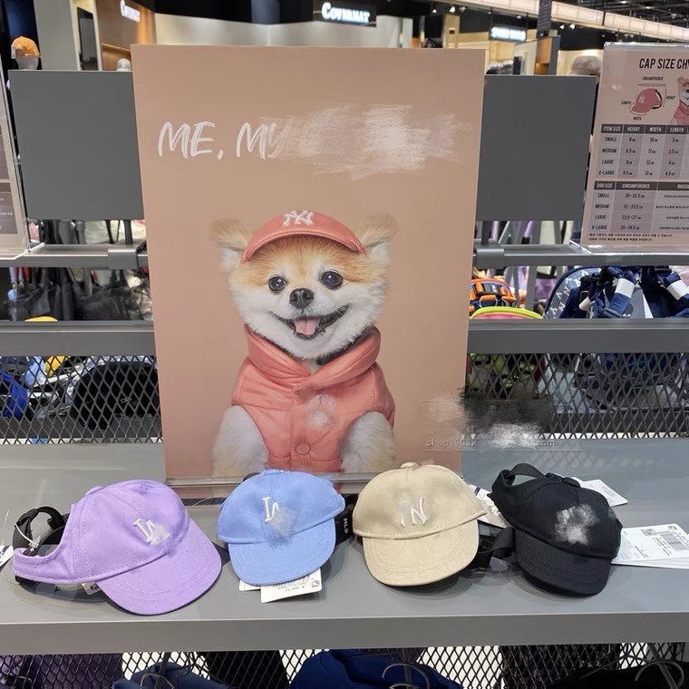 西施犬帽子 新人首单立减十元 21年10月 淘宝海外