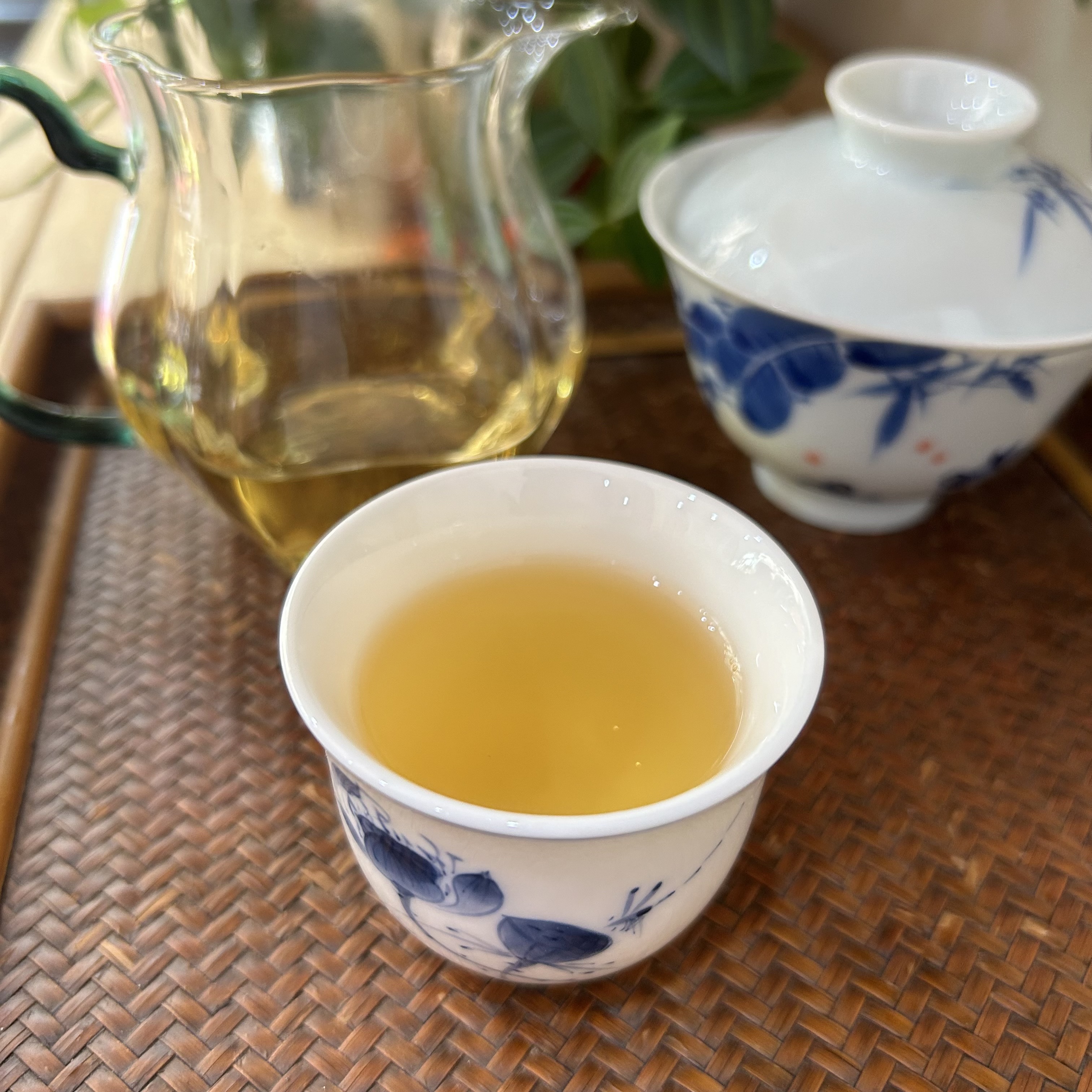 云南秧塔月光白古树白茶特级春茶散茶花香蜜香鲜爽甜润200克2023-图2