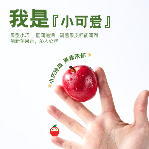 乐淇(rockit)进口新西兰小苹果火箭筒5粒装大筒新鲜水果高端礼盒 - 图1