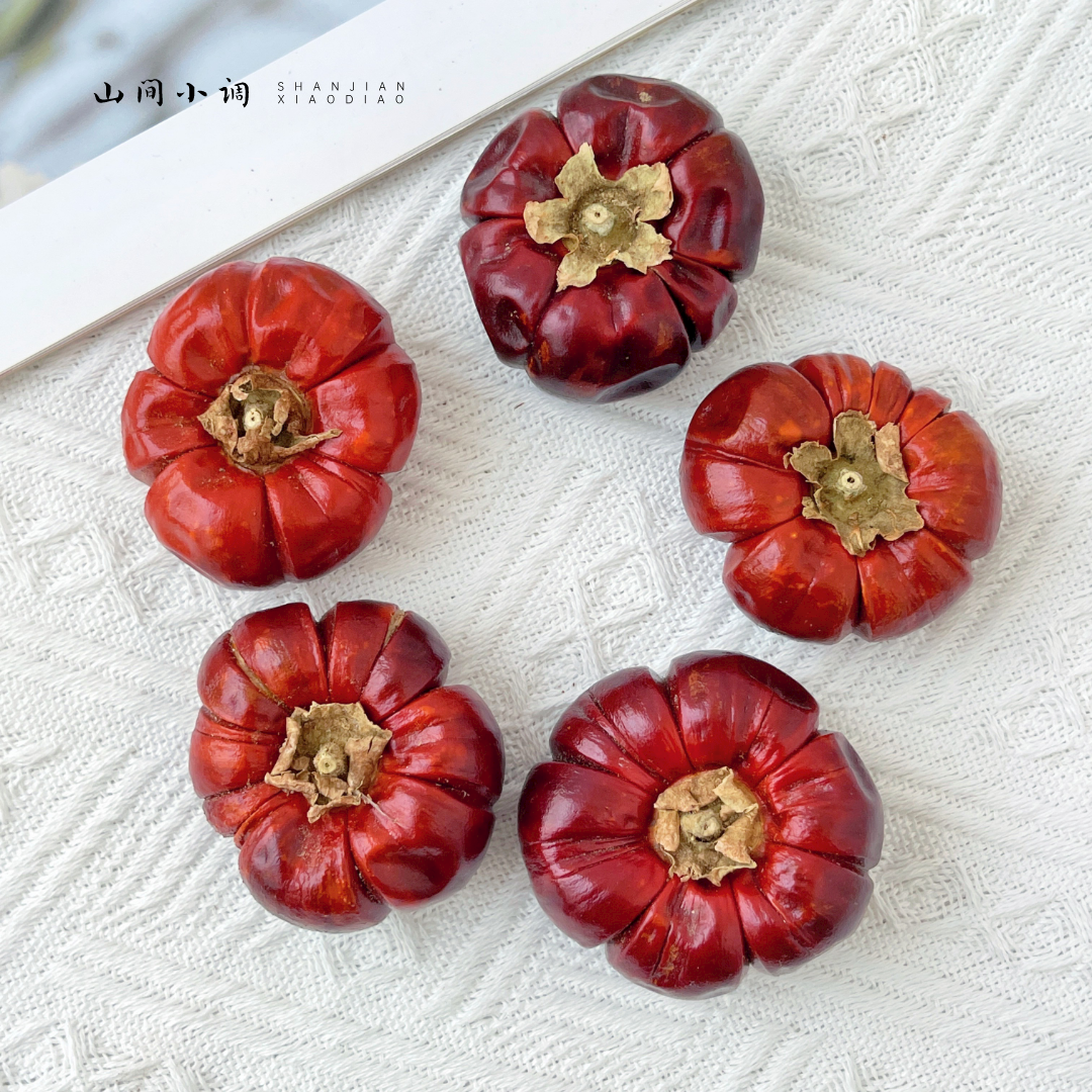 迷你小南瓜进口天然植物果实干花包节日场景装饰布置干果拍摄道具,淘宝优惠券,粉丝福利购,淘宝优惠卷