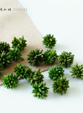 【绿色多头星】天然植物手工diy材料进口圣诞素材花环圣诞树幼儿
