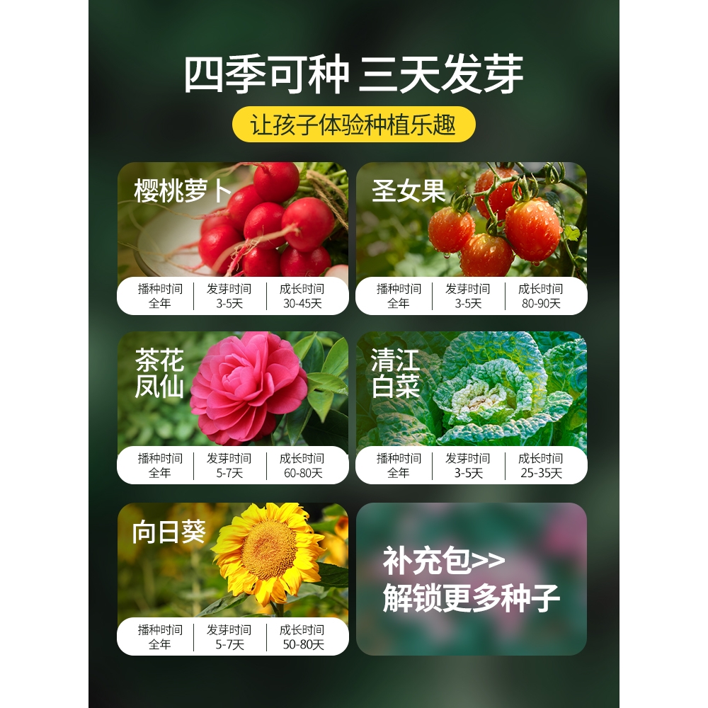 名创优品迷你儿童阳光种植房玩具种菜小盆栽科学实验套装植物观察 - 图3