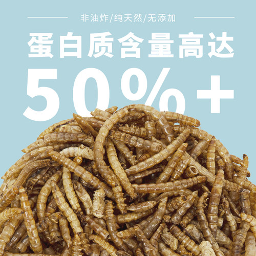 面包虫干仓鼠零食黄粉虫鹦鹉鸟龟粮食金丝熊饲料刺猬黄粉虫用品4L - 图1